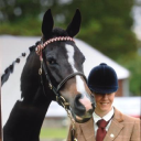 Fitzworthy Equestrian Centre logo