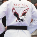 Aquila Taekwondo logo