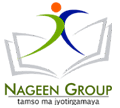 Nageen International logo