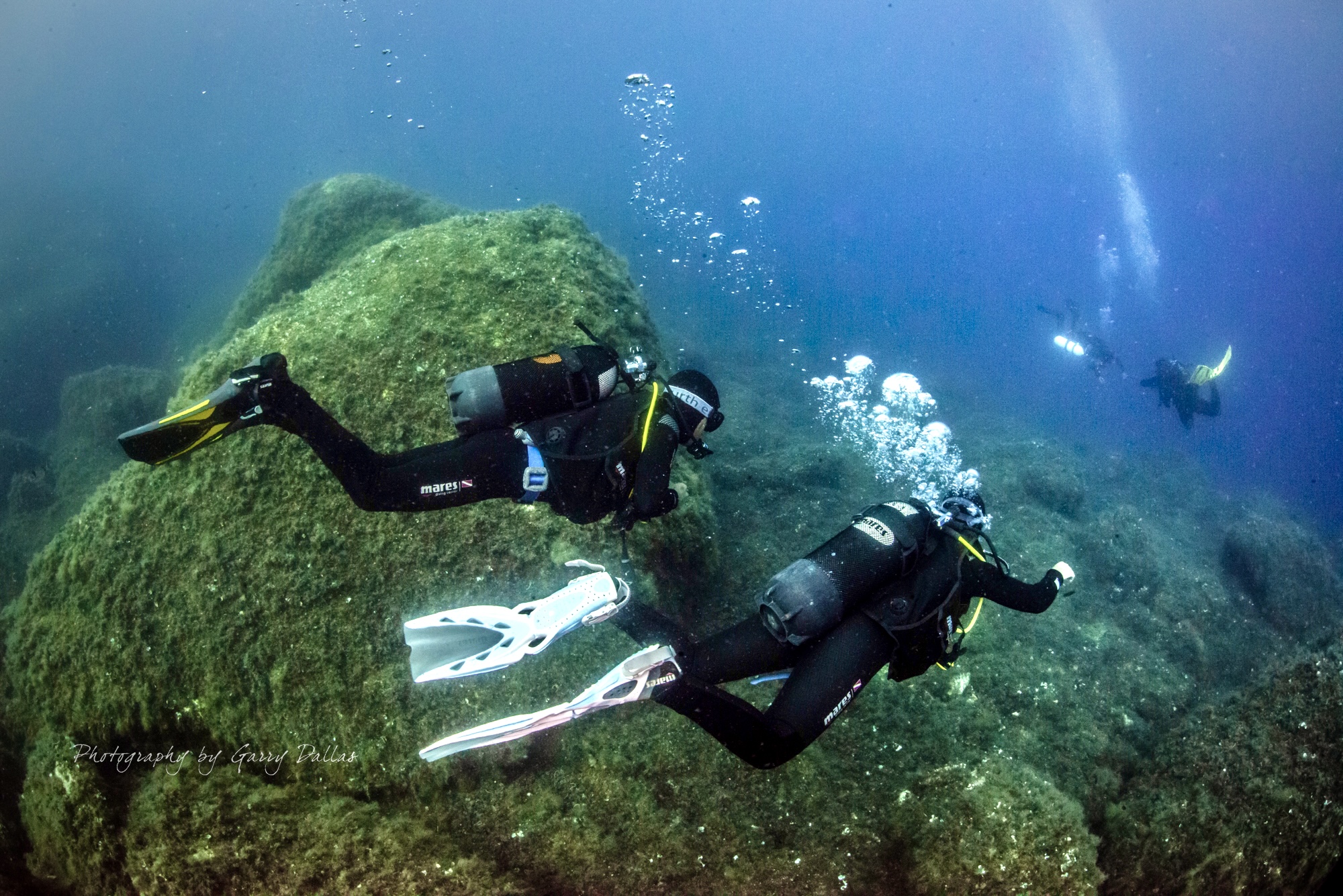 Scuba diving courses for all levels