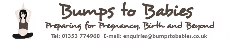 bumpstobabies.co.uk logo