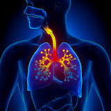 Diseases Of The Respiratory System