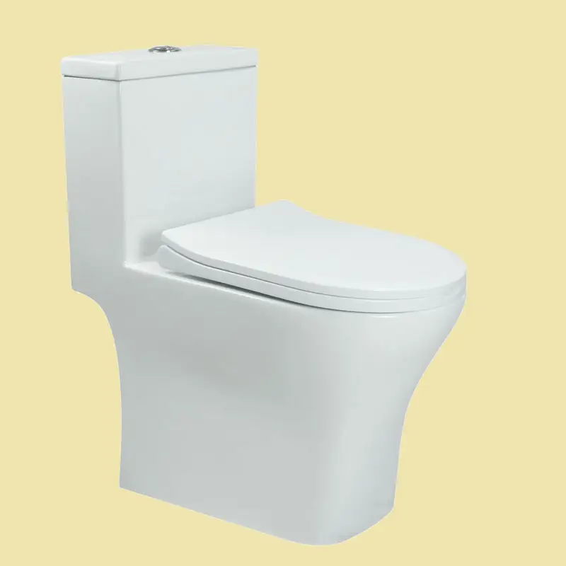 Bồn cầu 1 khối và 2 khối: Đâu là sự lựa chọn lý tưởng?