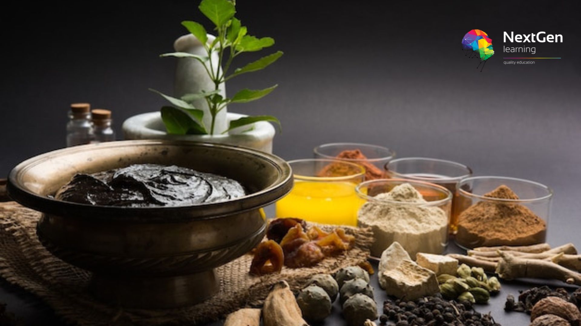 Ayurveda Diploma