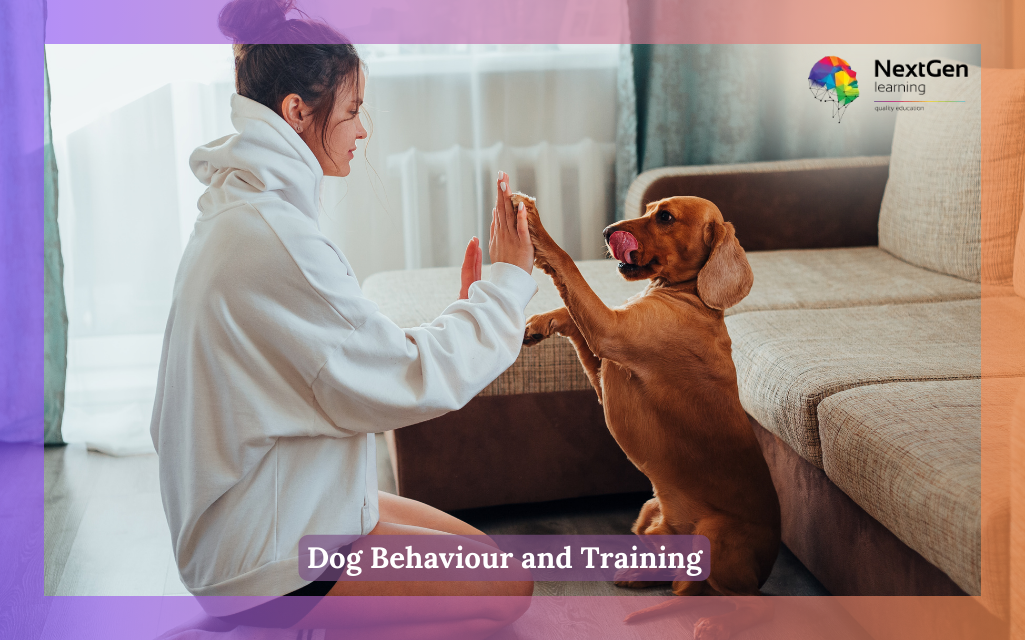 Dog Behaviour and Training Course