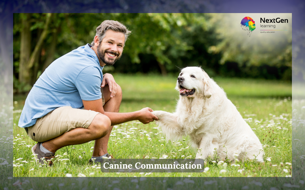 Canine Communication Course