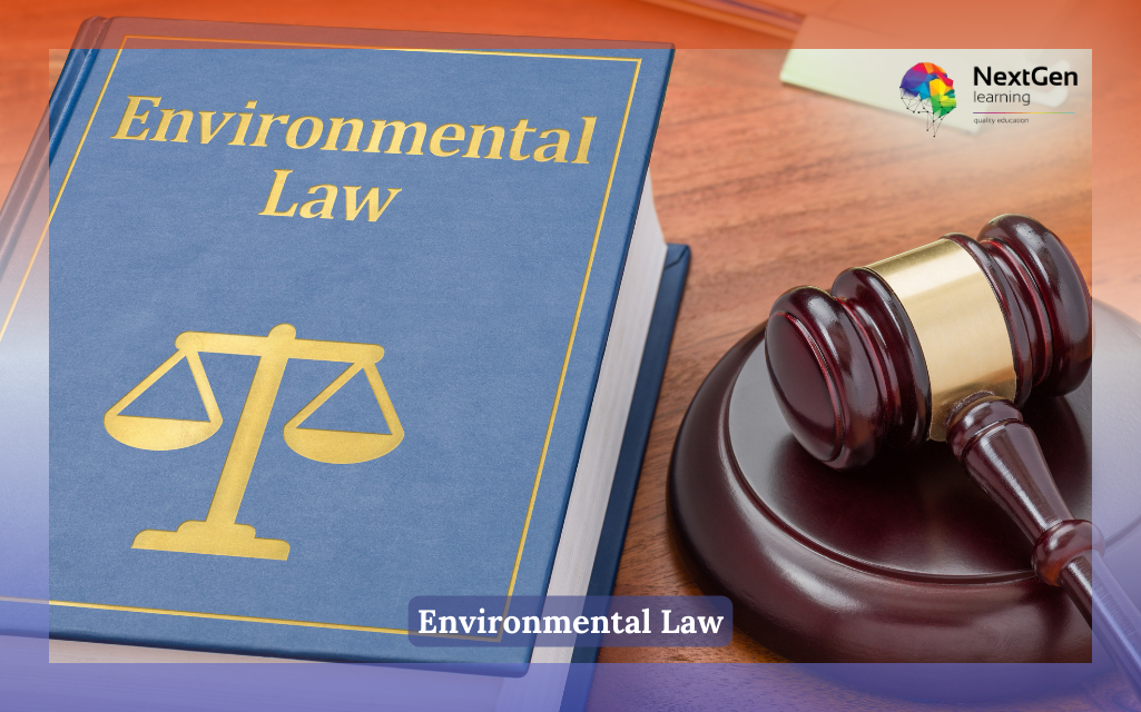 Environmental Law Course