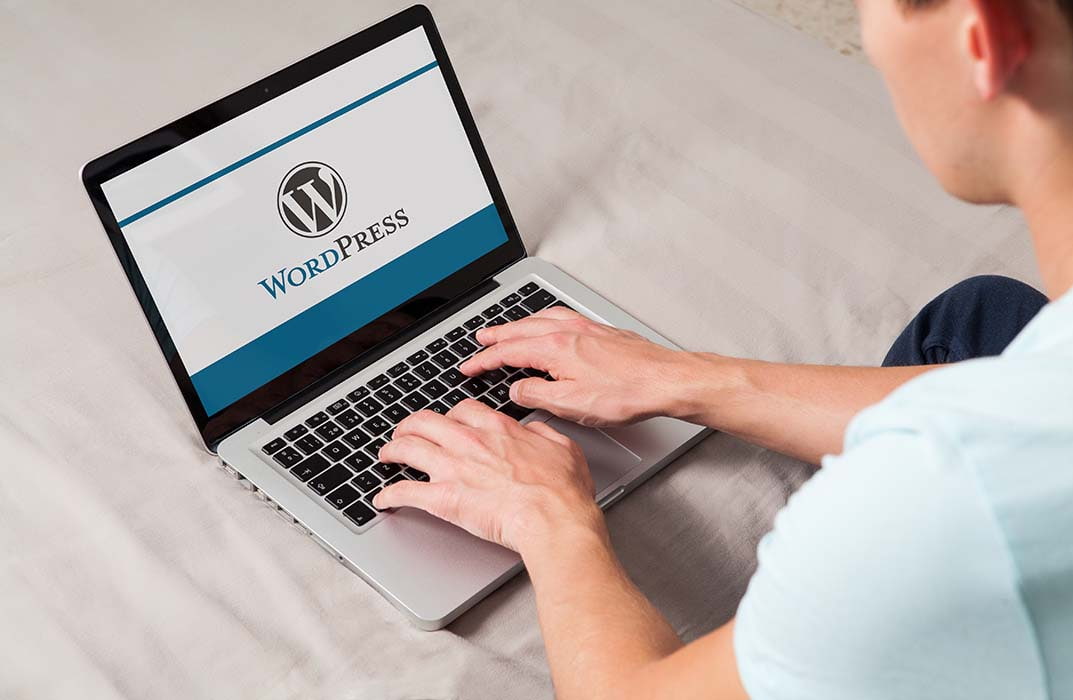 Wordpress for Beginner Course