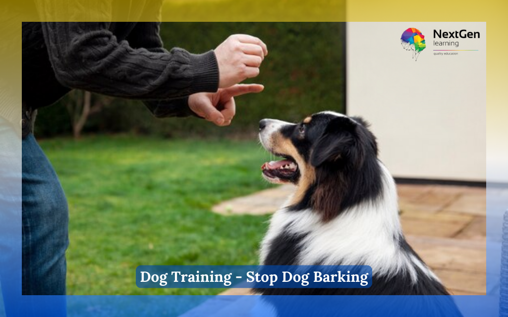 Dog Training - Stop Dog Barking Course