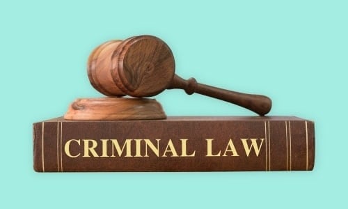 Criminal Law & Homicide Detective Course