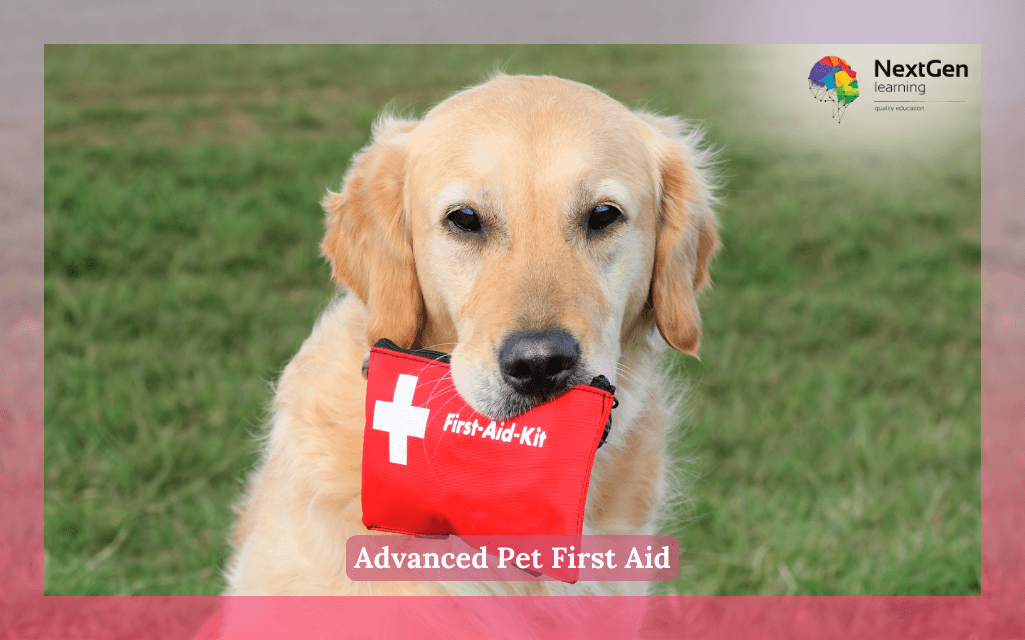 Advanced Pet First Aid Course