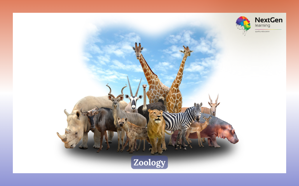 Zoology Course