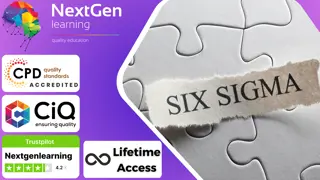 Lean Six Sigma Green Belt Course - 8 Courses Bundle