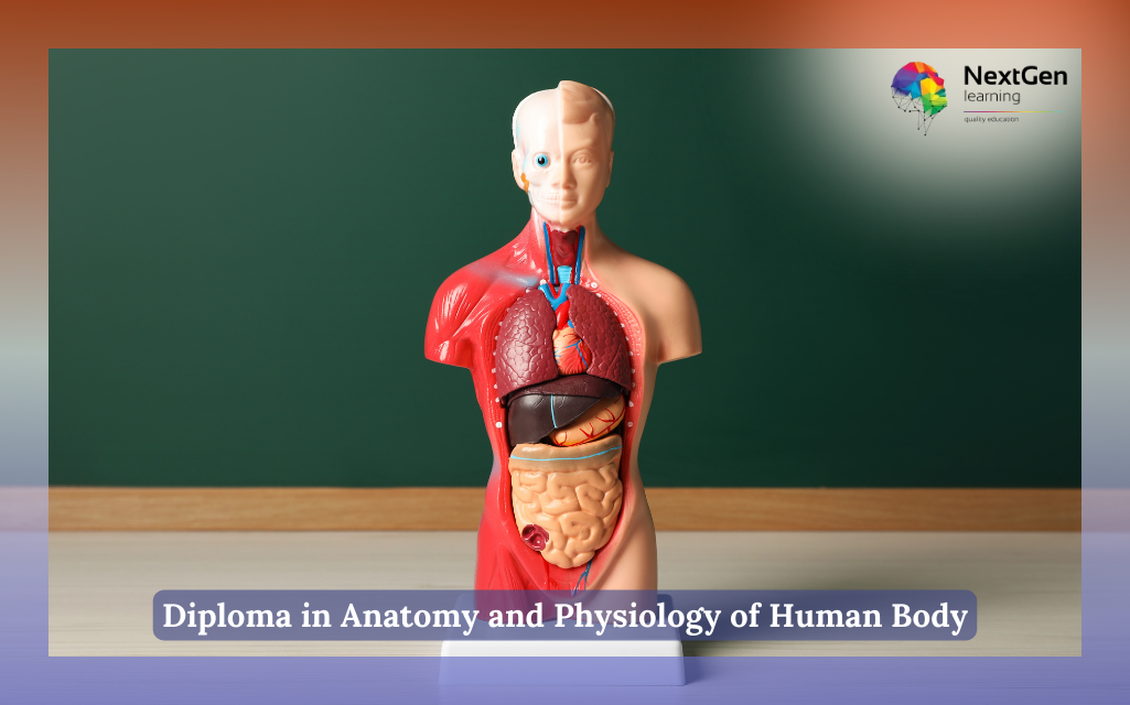 Diploma in Anatomy and Physiology of Human Body Course