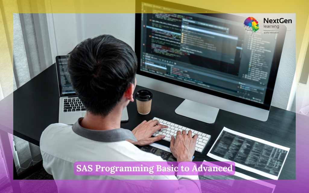 SAS Programming Basic to Advanced Course