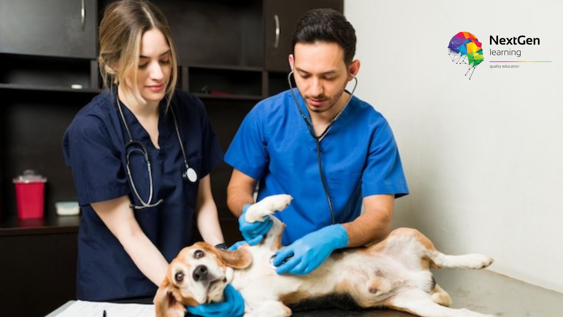 Canine First Aid and CPR Course