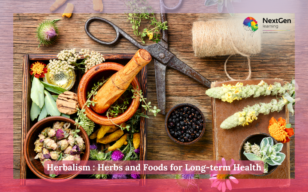 Herbalism : Herbs and Foods for Long-term Health Course