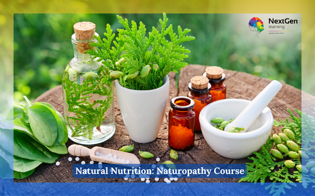 Natural Nutrition: Naturopathy Course