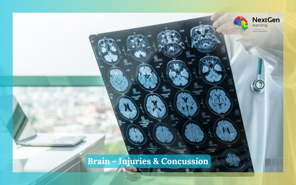 Brain - Injuries & Concussion Course