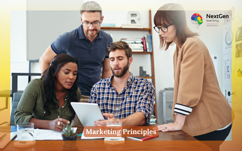 Marketing Principles Course