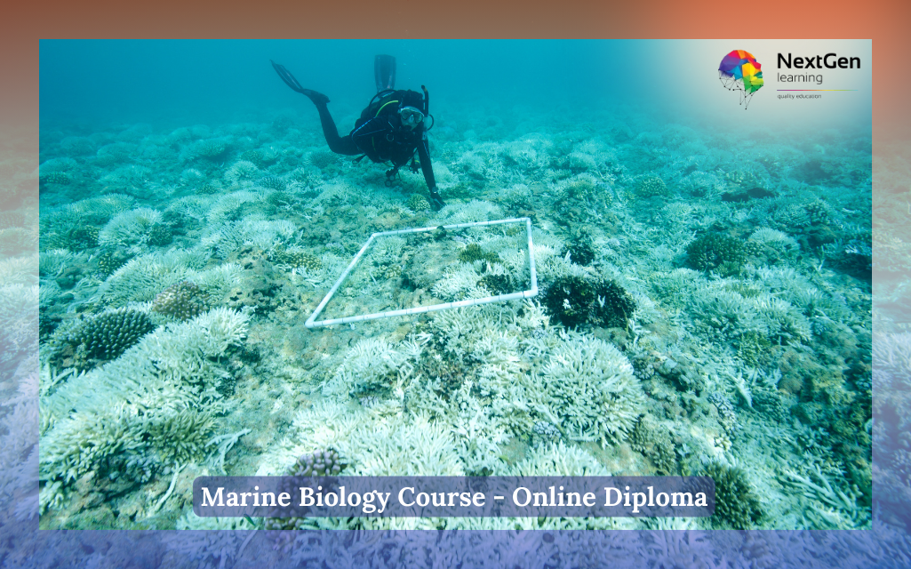 Marine Biology Course - Online Diploma