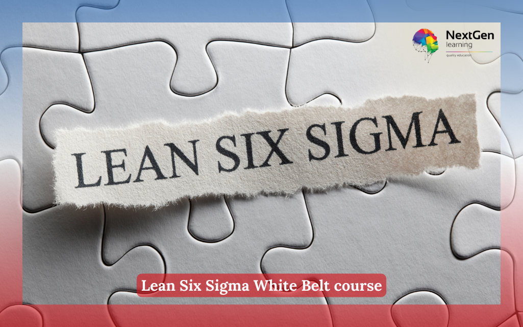 Lean Six Sigma White Belt course Course