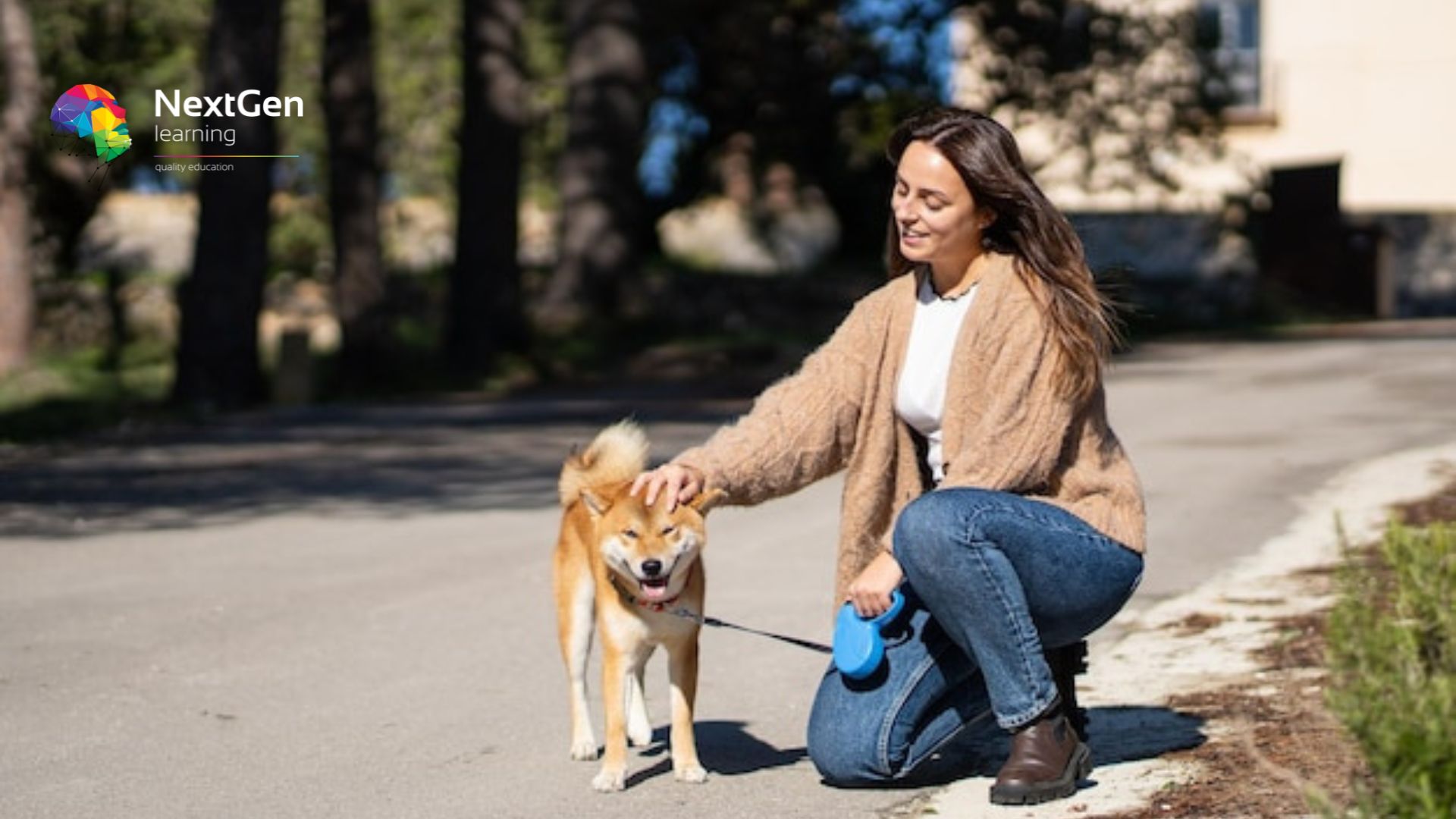 Pet Sitting and Dog Walking