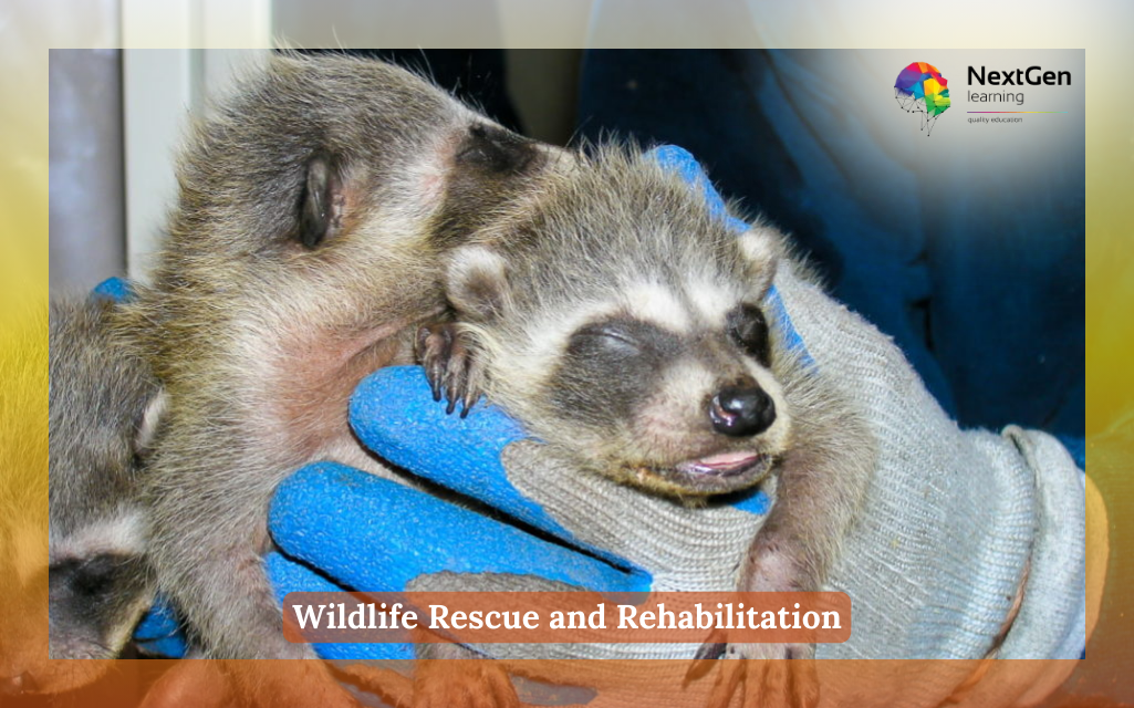 Wildlife Rescue and Rehabilitation Course