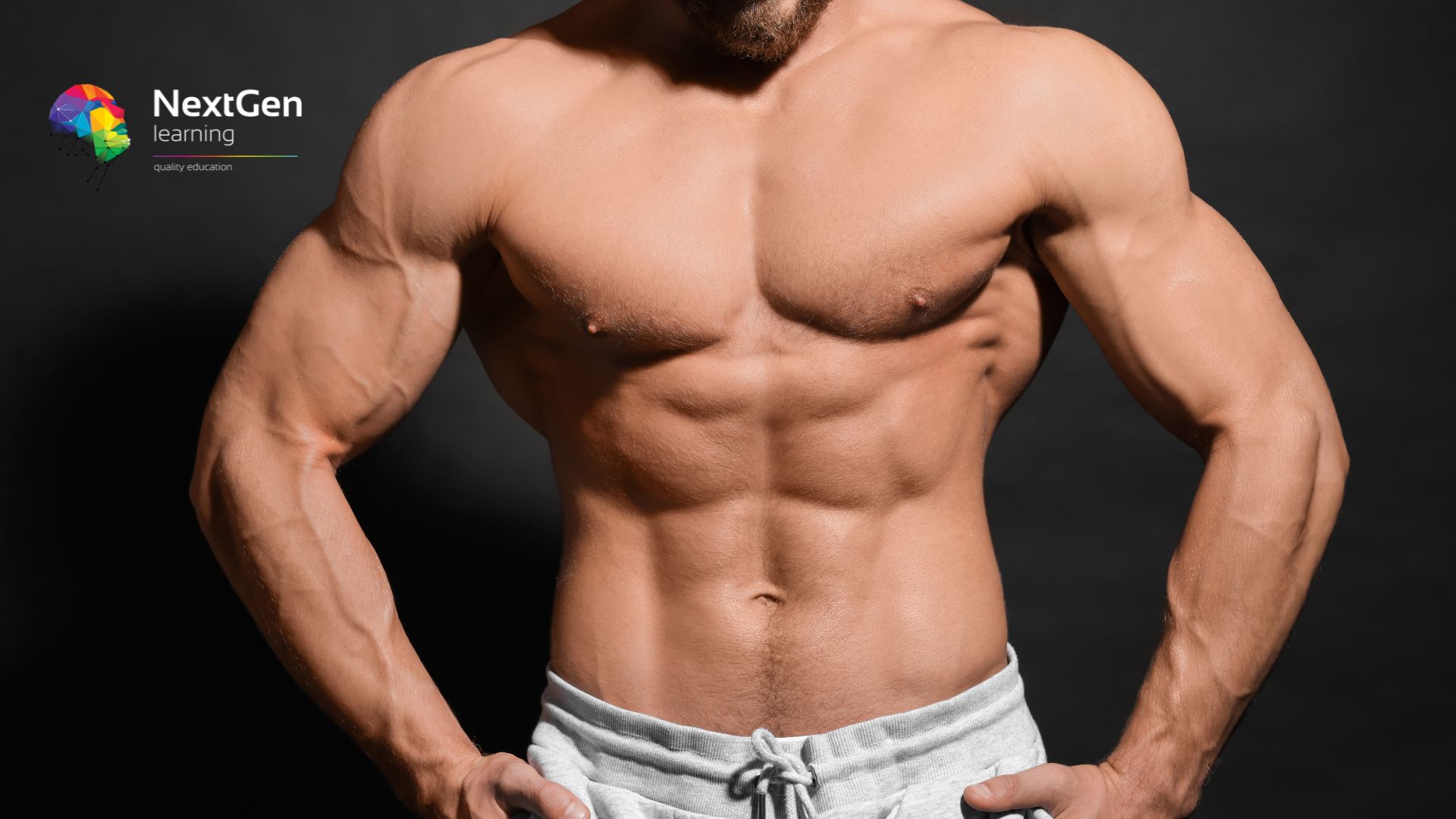 Science-Based Workout: Build Muscle, Lose Fat & Get Fit
