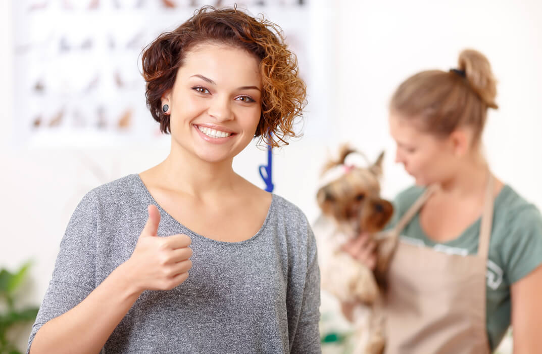 Setting Up Your Dog Grooming Business Course