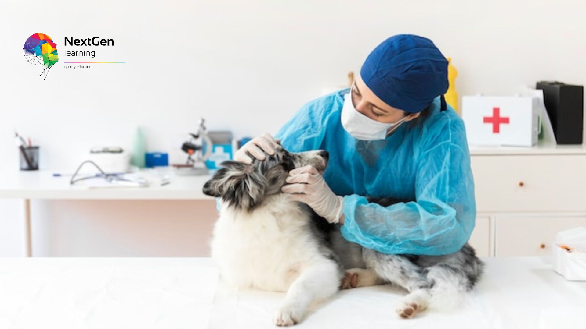 Advanced Pet First Aid