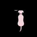 Two Tails Dog Walking logo