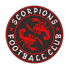 Scorpion Academy logo