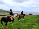 Woolacombe Riding Stables logo