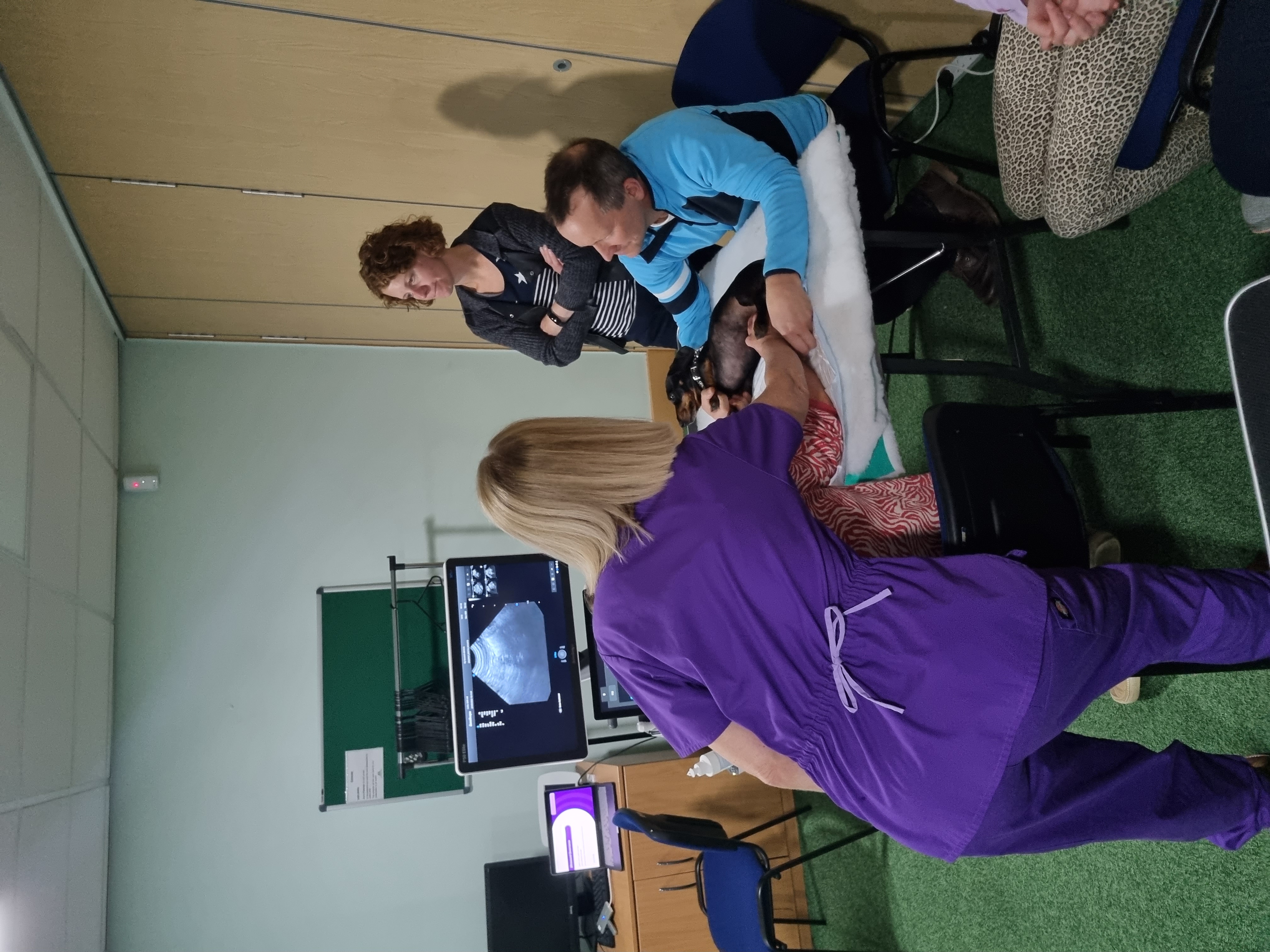 S/A WORKSHOP | Two-day Small Animal Abdominal Ultrasound (V12)