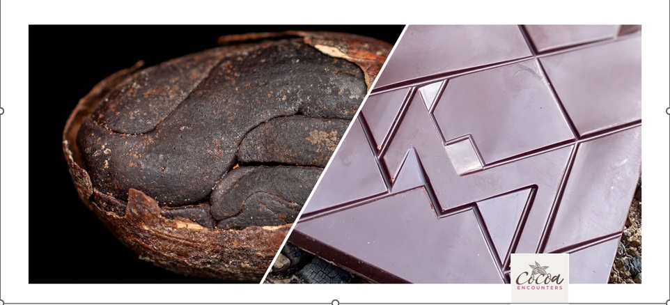 Introduction to Fine Chocolate - Online Knowledge Course 