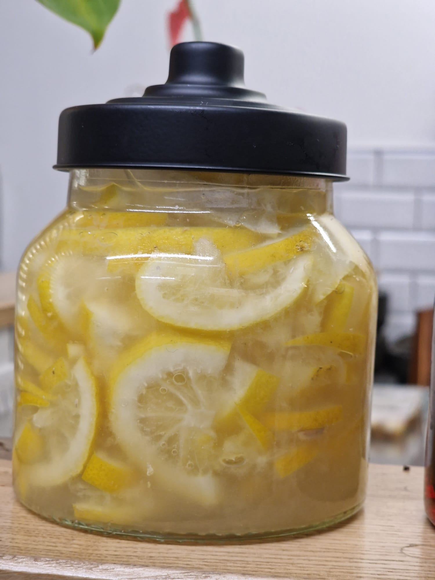 Pickling & Fermenting Workshop May