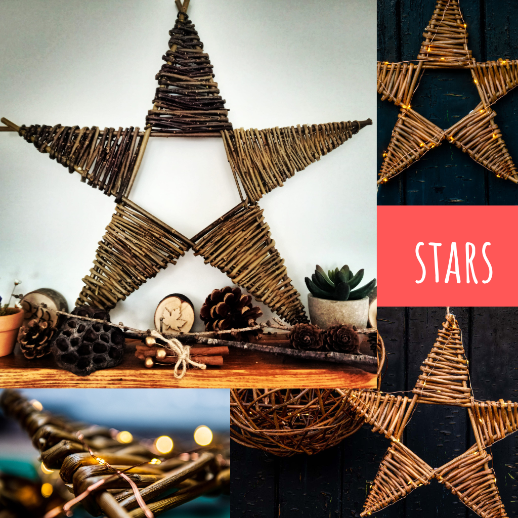 Mon 26 Sept 22 Willow Stars Workshop