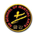 Sd Mixed Martial Arts logo