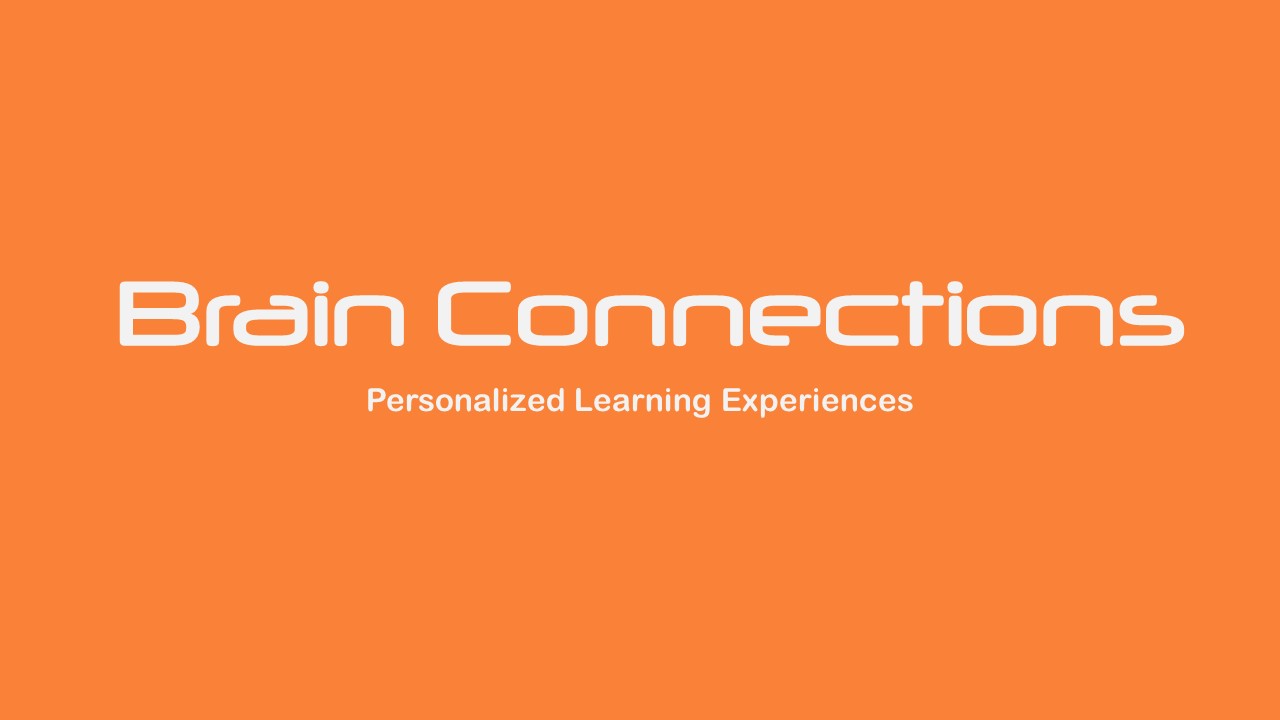 Brain Connections