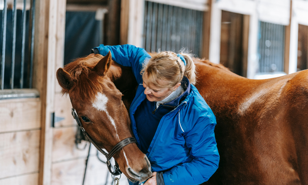 Horse Care - Equine Psychology