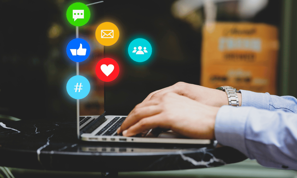 Social Media Marketing Package (5 Course Bundle)