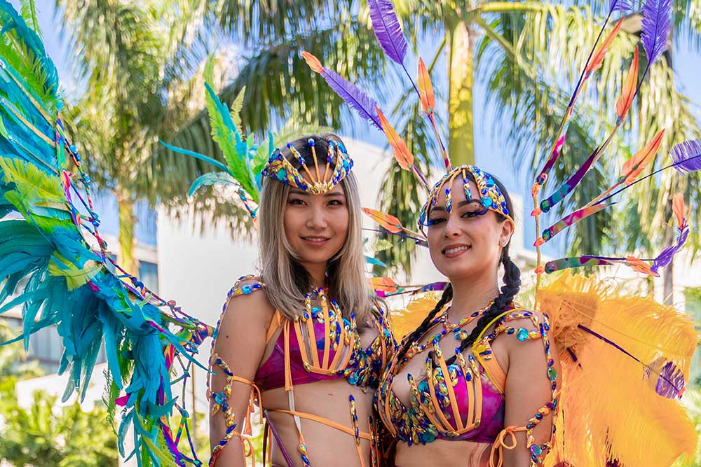 Discover the Thrill of Carnival in St. Lucia with Bacchanal Chasers