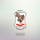 Baladia Youth Club logo