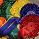 Portmore Equestrian Centre logo