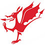 Wales First Aid logo