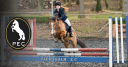 Pachesham Equestrian Centre logo