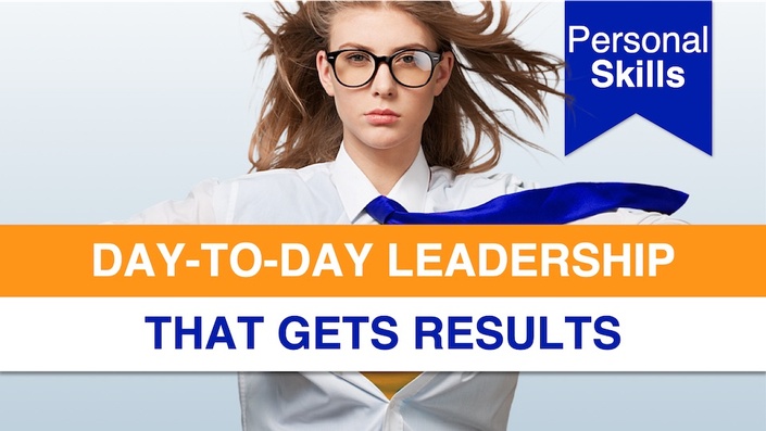 Day-to-Day Project Leadership that Gets Results