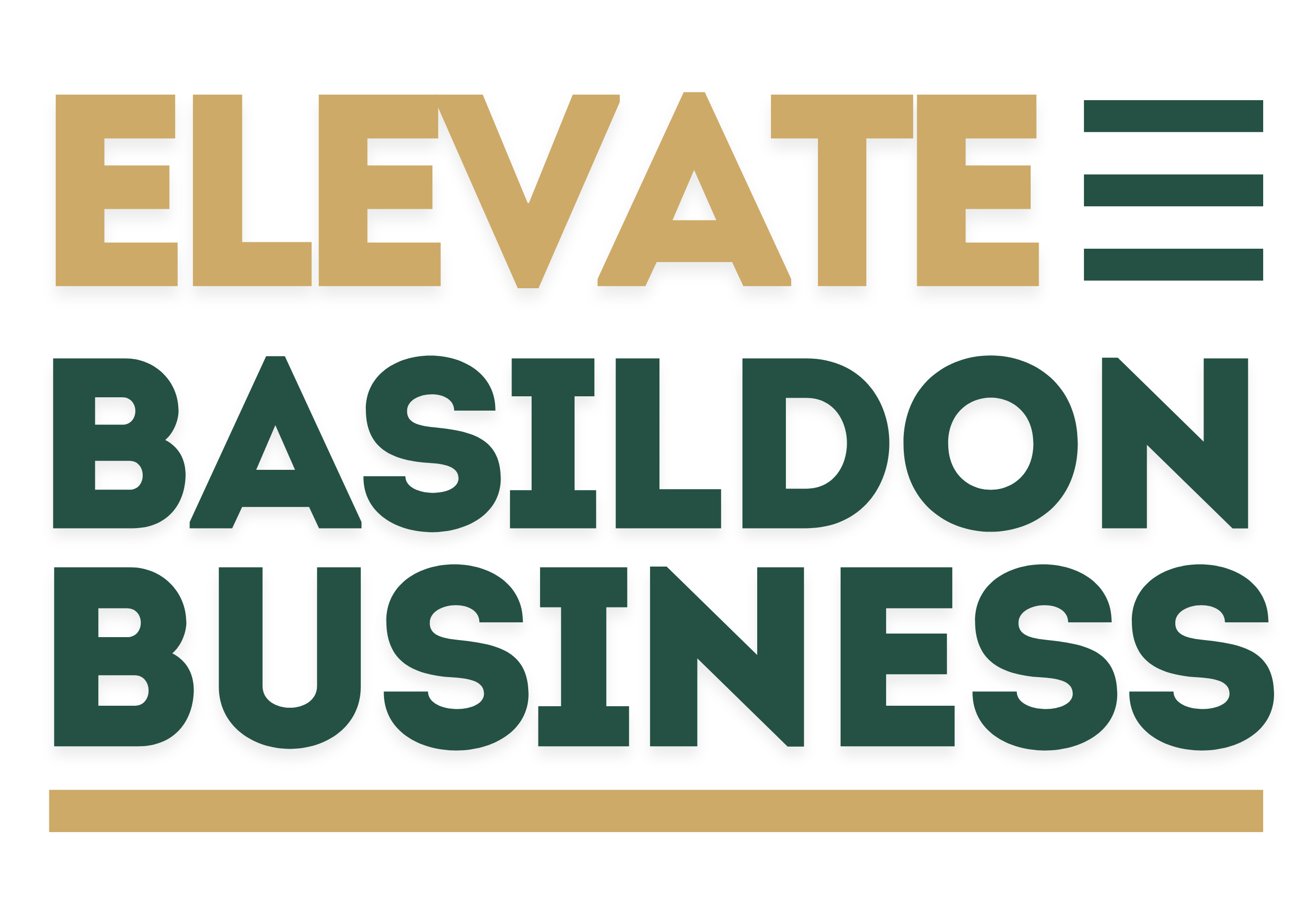 Elevate Basildon Business - Peer group and 1:1 sessions (online)
