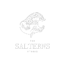 The Salterns Studio logo